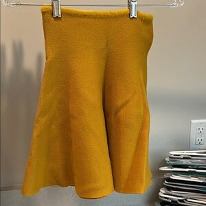 Zara Mustard A-Line Skirt